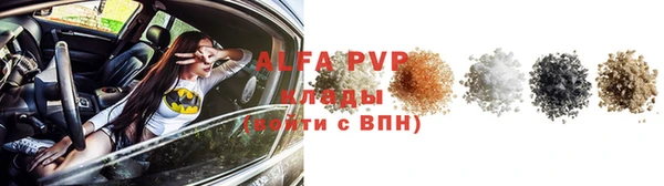 амф Алексин