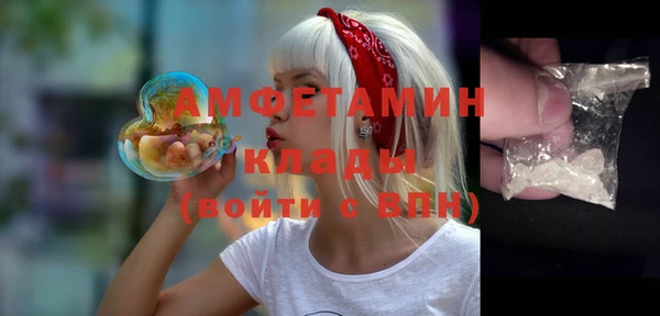 амф Алексин