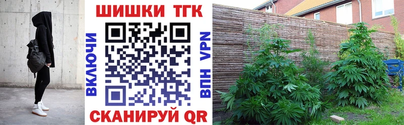 Бошки Шишки план Алупка